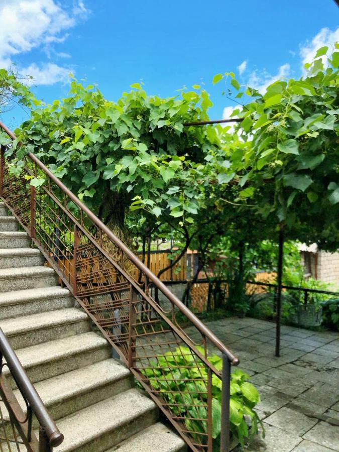 Achela'S Guesthouse Borjomi Exterior foto